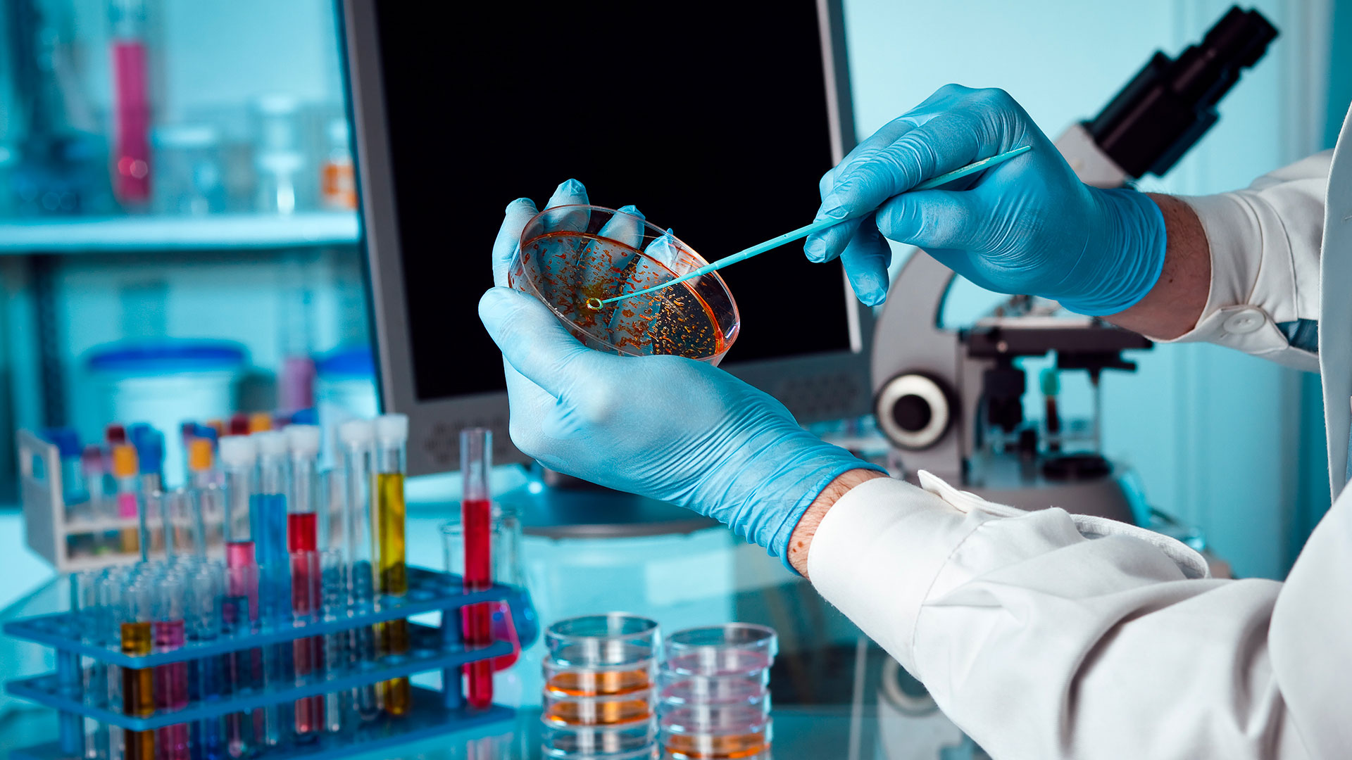 Laboratório Evoluuo