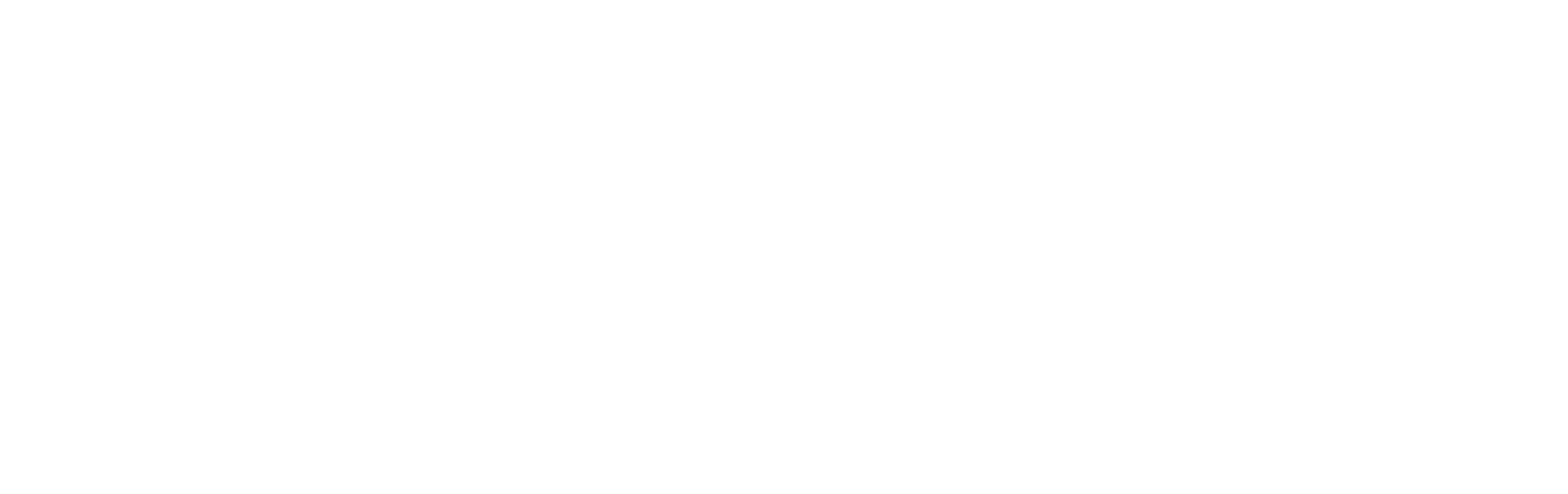 Evoluuo Logo